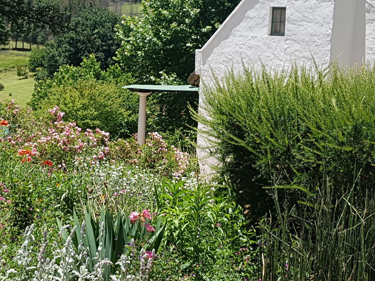 Rosebury Cottage Underberg Esterno foto